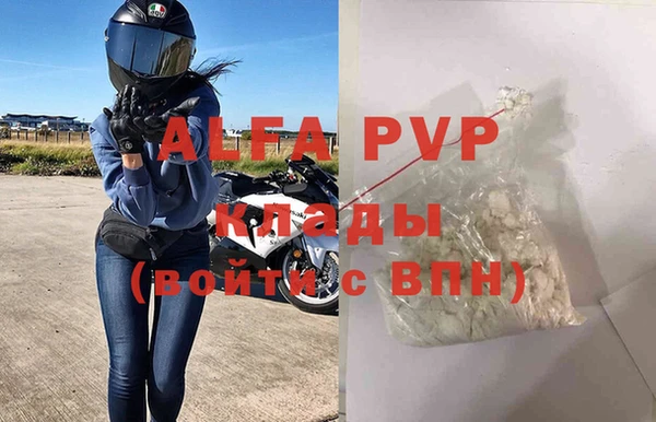 ГАЛЛЮЦИНОГЕННЫЕ ГРИБЫ Вязники