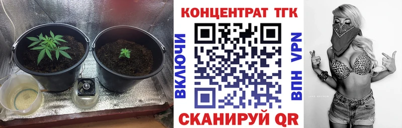 площадка официальный сайт  Дмитровск  ТГК гашишное масло 